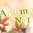 Autumn nail