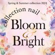 Bloom & Bright Collection